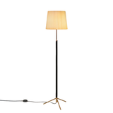 Pie de Salón floor lamp