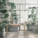 Palm CEO Office Chair with armrests