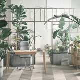 Palm Upholstered CEO Office Chair