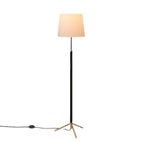 Pie de Salón floor lamp