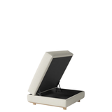 Gest pufas su daiktadėže