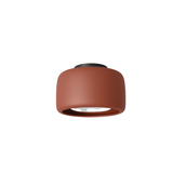 Ises ceiling light
