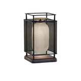 Denglong P toršeras