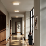 Hikari sieninis šviestuvas