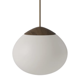 Acorn pakabinamas šviestuvas