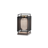 Denglong P toršeras