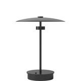 Reflection portable lamp