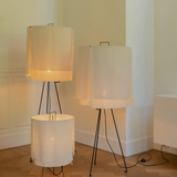 Nomad standing S toršeras