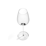 Unity by Tomorrowland champagne glass