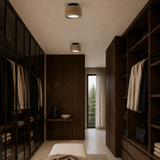 Ises ceiling light