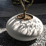 Sunao Plant vase
