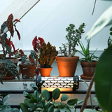 Belleville Mini wall lamp