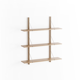 Rodd shelf