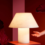 Petra M stalinis šviestuvas