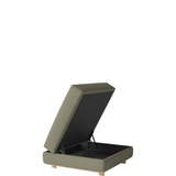 Gest pufas su daiktadėže