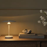 Reflection portable lamp