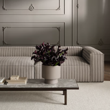 Elton kavos staliukas