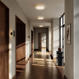 Chameleon sieninis šviestuvas