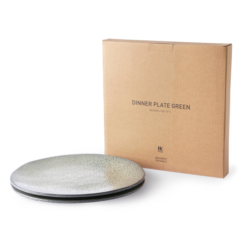 Gradient dinner plates set