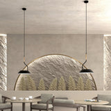 Aider pendant lamp