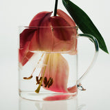 Unity by Tomorrowland tea cup