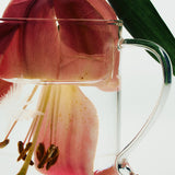 Unity by Tomorrowland tea cup