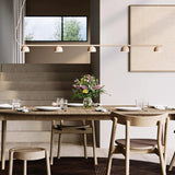 Blush rail pendant lamp