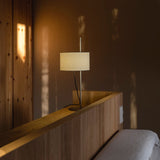 TMD table lamp