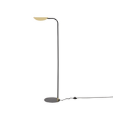 Ficus floor lamp