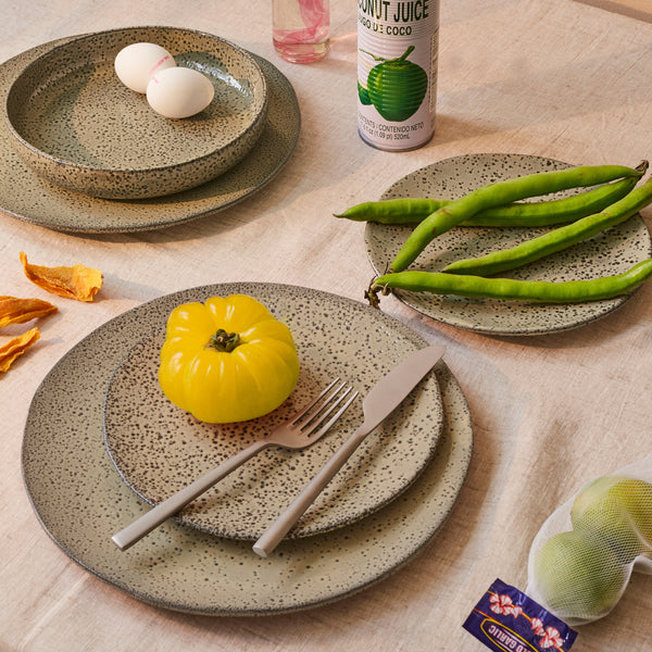 Gradient dinner plates set