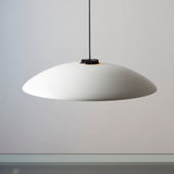 Headhat Plate Hanging Luminaire