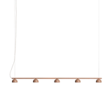 Blush rail pendant lamp