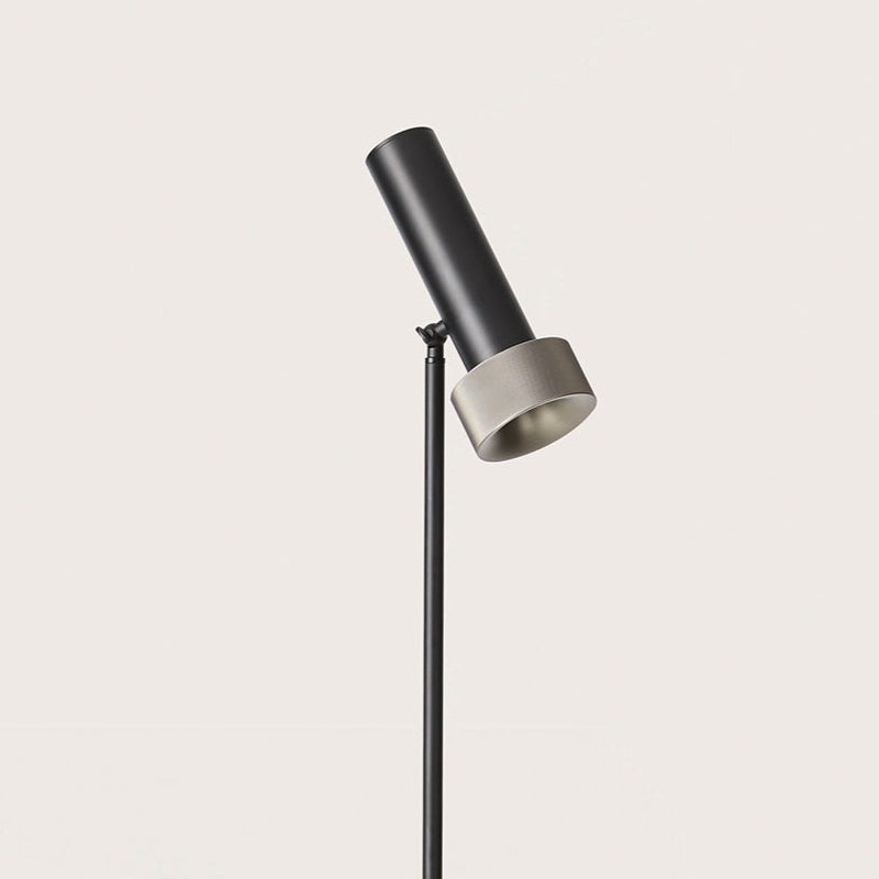 Focus floor lamp