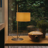 TMD table lamp