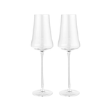 Silhouette champagne glasses set of 2