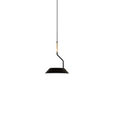 Aider pendant lamp