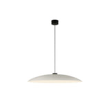 Headhat Plate Hanging Luminaire